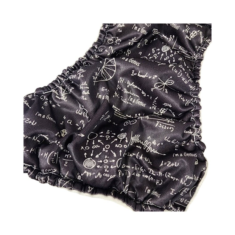 BumGenius Albert Science Math Physics Pocket Cloth Diaper with Insert Snap Rise - Picture 7 of 10